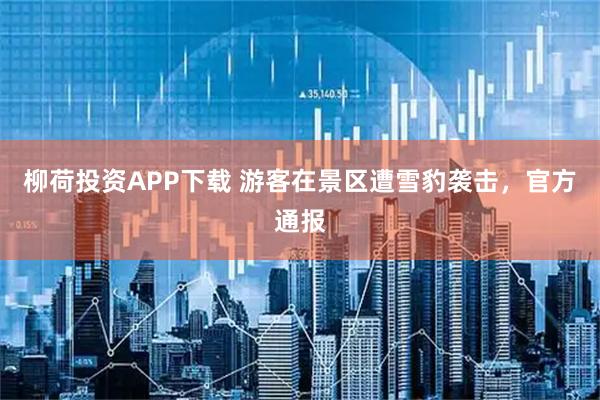 柳荷投资APP下载 游客在景区遭雪豹袭击，官方通报