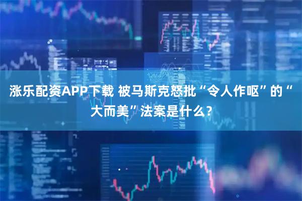 涨乐配资APP下载 被马斯克怒批“令人作呕”的“大而美”法案是什么？