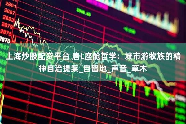 上海炒股配资平台 唐L座舱哲学：城市游牧族的精神自治提案_自留地_声音_草木