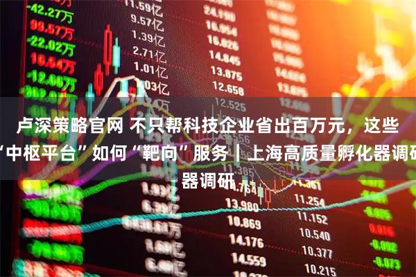 卢深策略官网 不只帮科技企业省出百万元，这些“中枢平台”如何“靶向”服务｜上海高质量孵化器调研