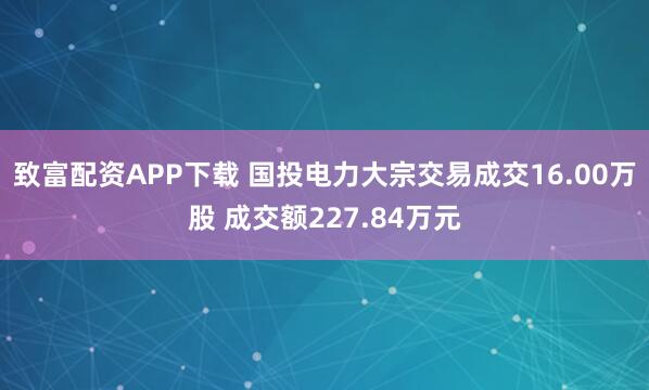 致富配资APP下载 国投电力大宗交易成交16.00万股 成交额227.84万元